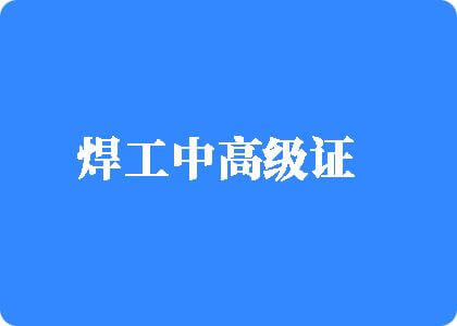 曰本胖女人操逼焊工中高级证