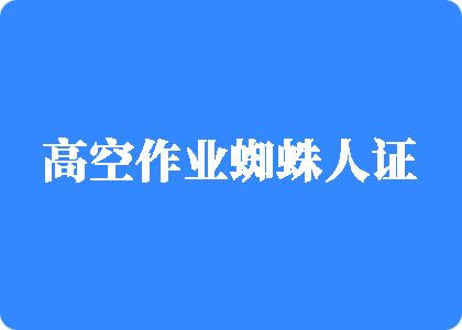 姐姐浪逼叫第逼第操高空作业蜘蛛人证